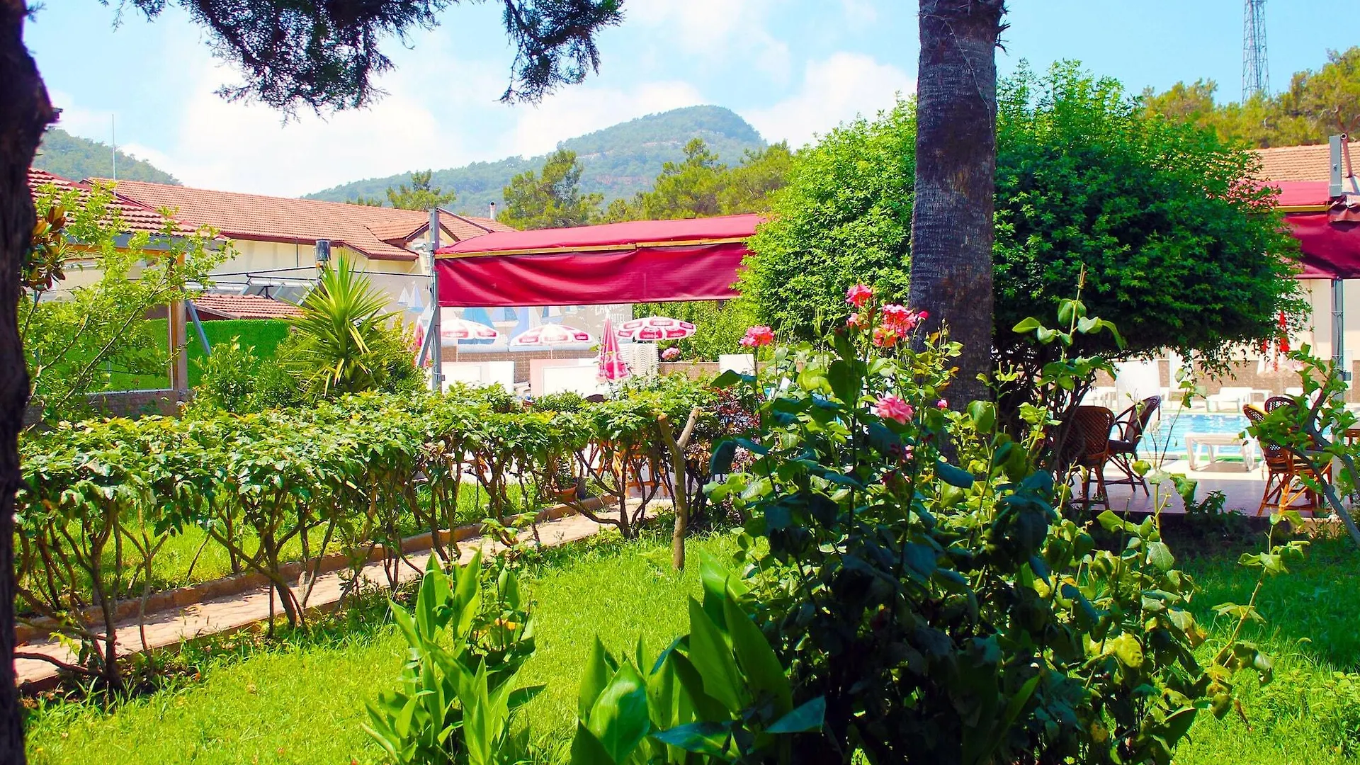 Carmina Hotel Oludeniz 3*,  Turkey